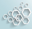 Vector abstract background Hexagon. Web Design
