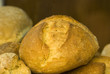 Pagnotta