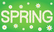 Spring tag composed from daisy flowers