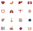 Vector anatomy icon set