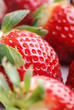 particolare di fragola