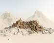 Desert