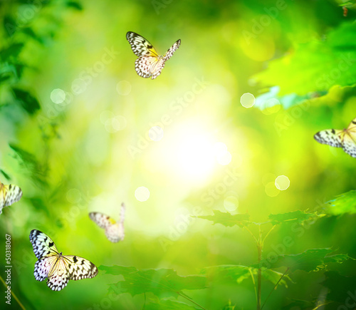 Photo: Beautiful Nature Spring Green Background With Butterfly Beautiful Nature Spring Green Background With Butterfly