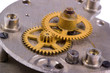 Clockwork close up
