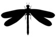 Libelle