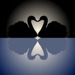 Vektor: Two swans on a pond Two swans on a pond