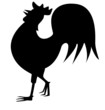 cock silhouette