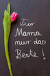 Für Mama nur das Beste