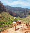 Hike in Grand Canyon