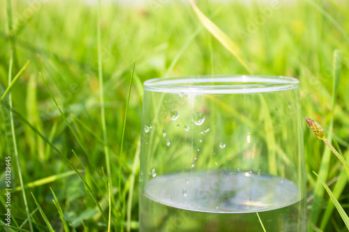Photo: glass of water on green grass glass of water on green grass