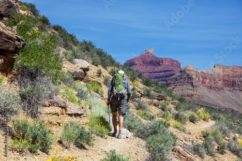Photo: Hike in Grand Canyon Hike in Grand Canyon