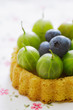 Blueberry tart