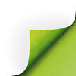Bio Blatt Ecke unten grün vector
