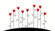 Wachsende Tulpen in rot und schwarz-weiß – Animationsfilm