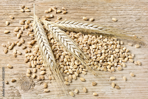 Photo: Barley Barley