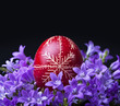 Photo: Fresh spring flowers and dyed easter egg Fresh spring flowers and dyed easter egg