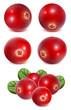Ripe red cranberries with leaves