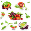 Fresh vegetables isolated on white background 