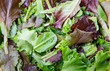 Mixed Greens and Lettuce