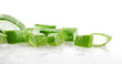 Aloe vera plant isolated on white
