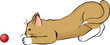 spielende Katze