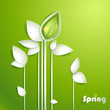 Abstract Paper Plants