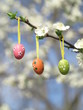 Easter Tree egg