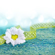 Herzförmige Blüte auf Holz