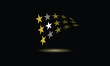 Drapeau étoiles
