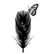 butterfly on a feather.