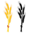 Wheat ear vector illustration