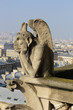 Paris cathedrale Notre Dame