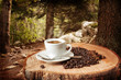 sfondo caffè
