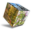 Würfel 22