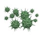 Flu virus research