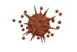 Flu virus research