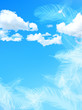 空　背景　羽根　羽
