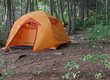 Foto: Orange Tent in a Forest Orange Tent in a Forest