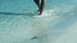 Male legs walking along the beach, slow motion shot at 240fps