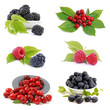 Obst