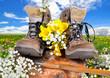 Wanderschuhe Frühling Wiese Baumstamm