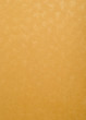 texture background