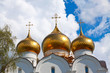 Domes of Assumption cathedral at Yaroslavl
