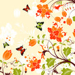Vector: Flower Frame Flower Frame