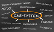 CMS SYSTEM