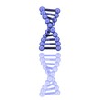 ein kurzes Stück DNA