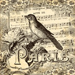 Paris vintage