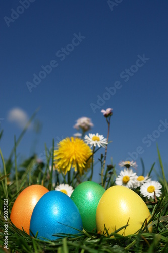 Photo: easter easter