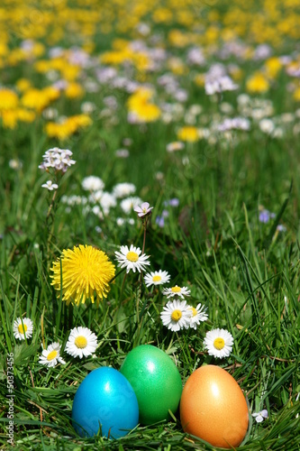 Photo: easter easter