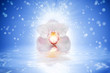 Orchid on water.